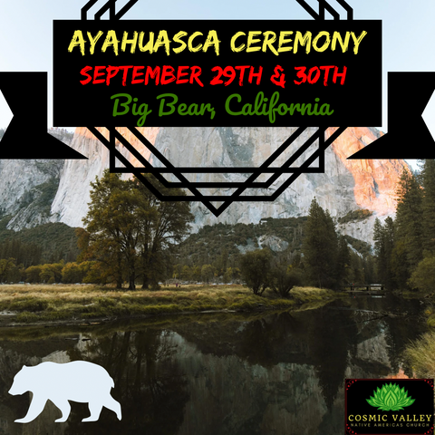 Big Bear, CA: US Ayahuasca Ceremony September 29th & 30th 2023