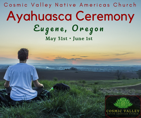 US Ayahuasca Indoor Ceremony May 31st & June 1st ($350 Full Donation)