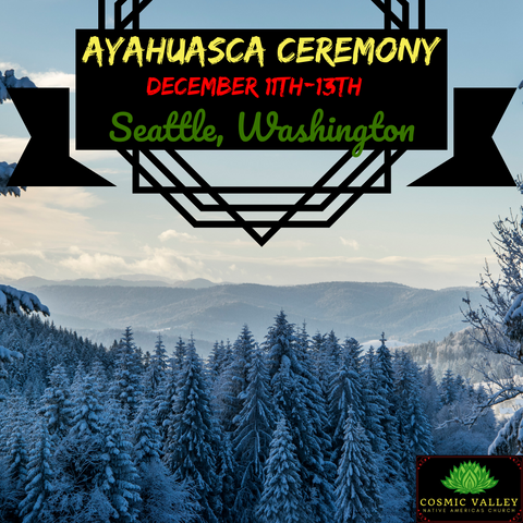 Seattle, WA: US Ayahuasca Ceremony December 11th-13th 2020