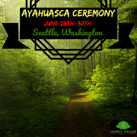 Seattle, WA: US Ayahuasca Ceremony June 28th-30th 2021