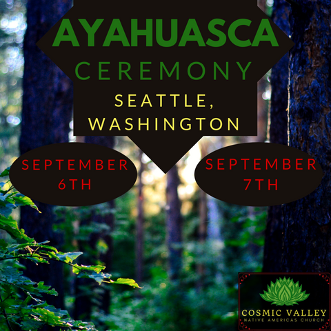 Washington, US: Ayahuasca Ceremony September 6th- 7th ($599 Full Donation) (SOLD OUT)