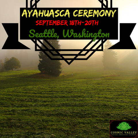 Seattle, WA: US Ayahuasca Ceremony September 18th-20th 2020