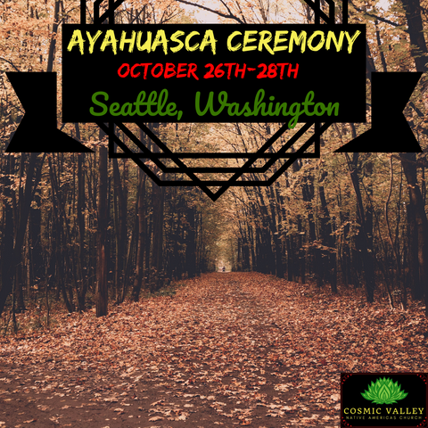 Seattle, WA: US Ayahuasca Ceremony October 26th-28th 2020