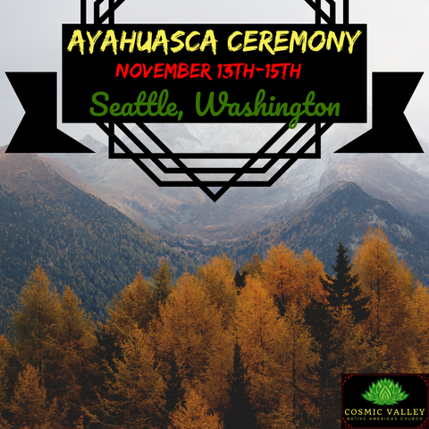 Seattle, WA: US Ayahuasca Ceremony November 13th-15th 2020 (FULL)