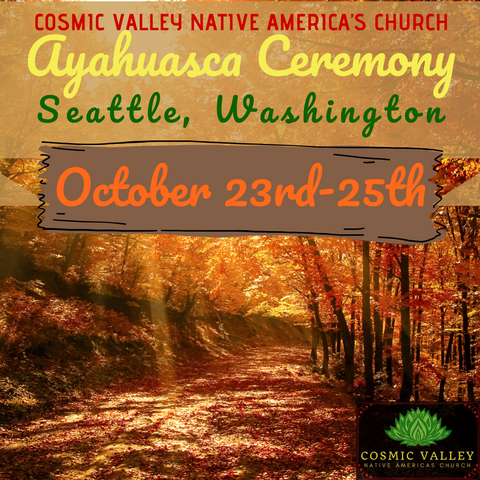 Seattle, WA: US Ayahuasca Ceremony October 23rd-25th 2020 (FULL)