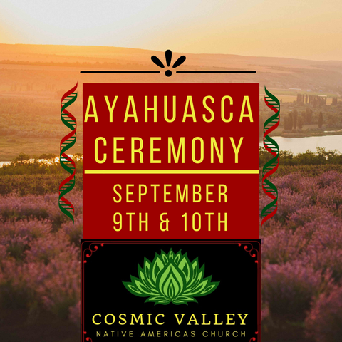 Washington, US: Ayahuasca Ceremony September 9th-10th ($599 Full Donation) (SOLD OUT)