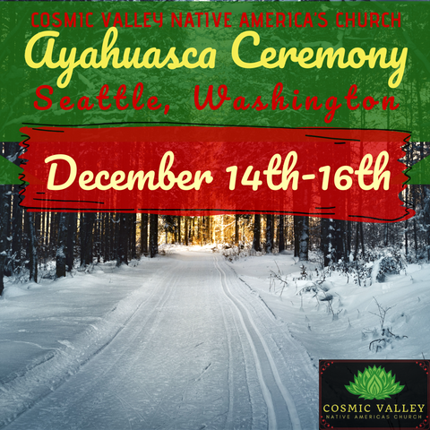 Seattle, WA: US Ayahuasca Ceremony December 14th-16th 2020 (FULL)