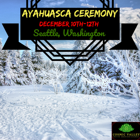 Seattle, WA: US Ayahuasca Ceremony December 10th-12th 2021