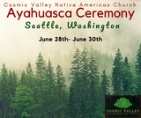 US Ayahuasca Indoor Ceremony June 28th & 29th ($200 Full Donation)