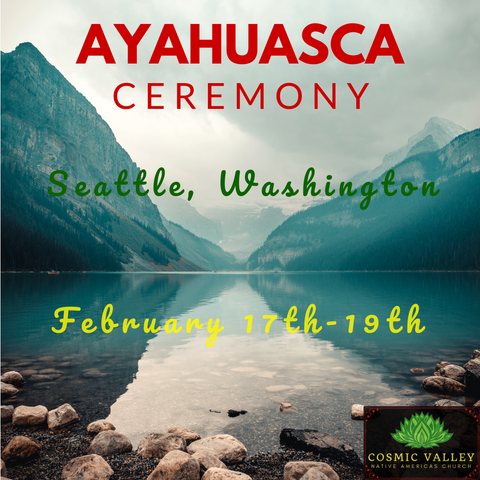 Seattle, WA: US Ayahuasca Ceremony February 17th-19th 2020 ($499 Full Donation)