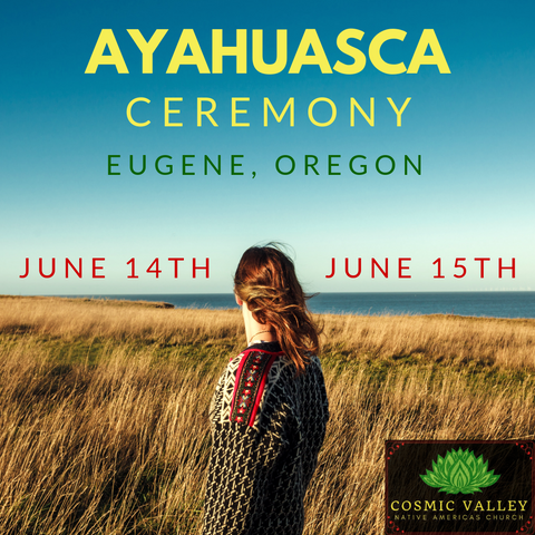 US Ayahuasca Indoor Ceremony (June 14th-June 16th)