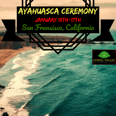 (FULL) San Francisco, CA: US Indoor Ayahuasca Ceremony January 15th-17th 2021
