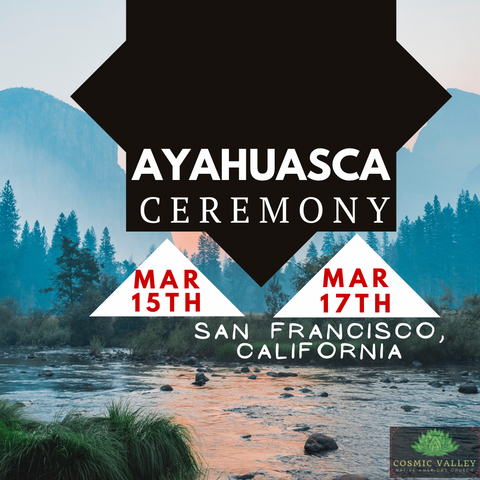 (FULL) San Francisco, CA: US Ayahuasca Ceremony March 15th-17th 2021
